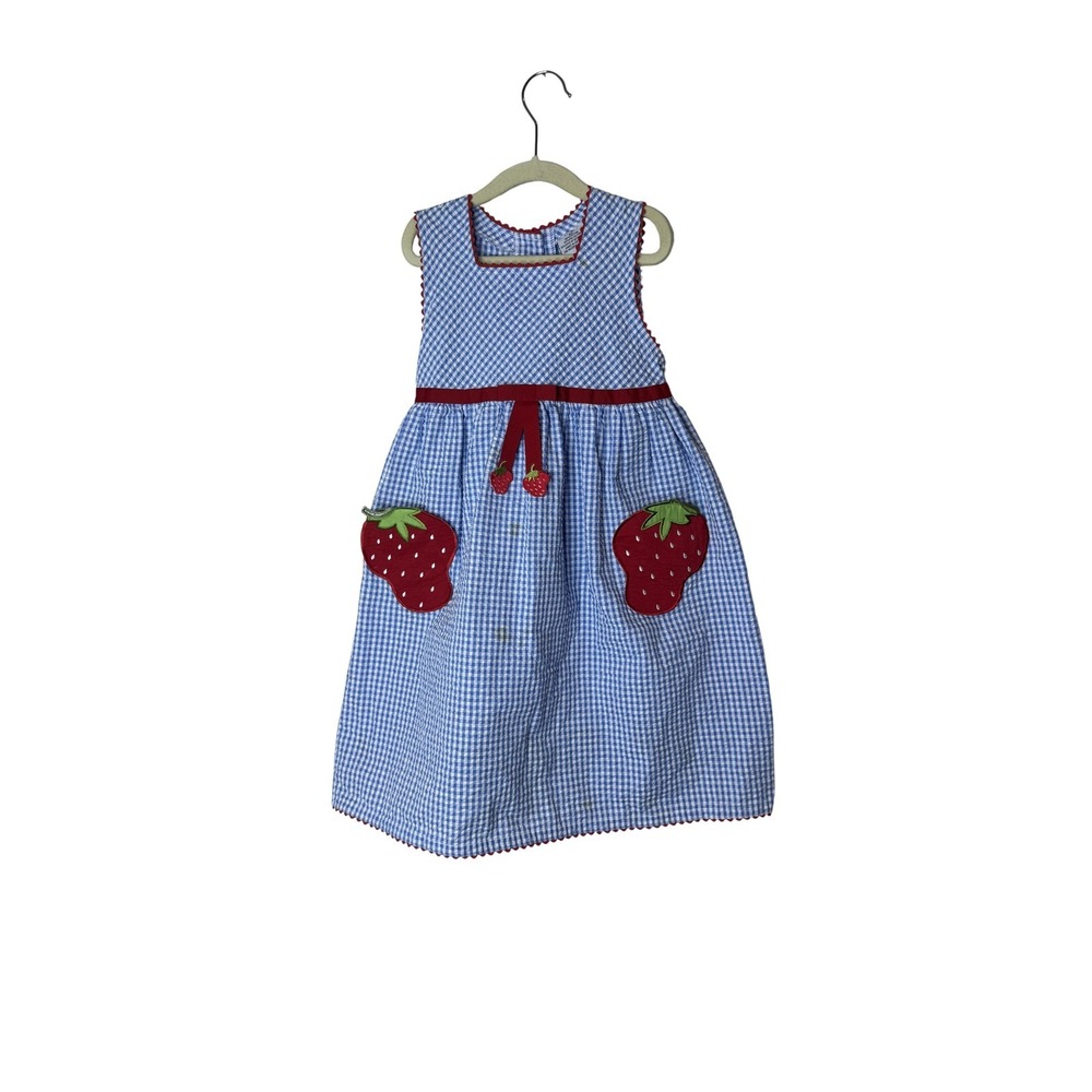 Youngland Dress Girls 6 Plus Blue Gingham Strawberry Pockets Sleeveless Summer